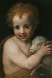 Madonna and Child-Andrea del Sarto-Giclee Print