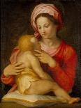 Madonna and Child-Andrea del Sarto-Giclee Print