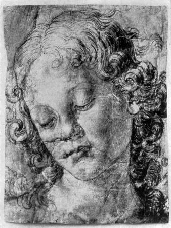 The Head of an Angel, 15th Century