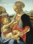 Virgin and Child, c1470, (1911)-Andrea del Verrocchio-Giclee Print