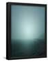 Essential Black