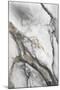Wood Mount