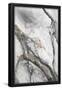Essential Black