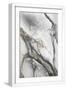 White Frame