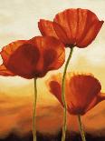 Poppies in Sunlight I-Andrea Kahn-Framed Art Print