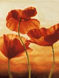 Poppies in Sunlight I-Andrea Kahn-Framed Art Print