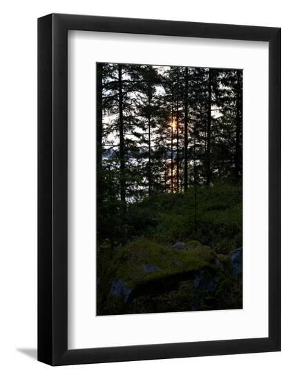 Photographic Print, , large