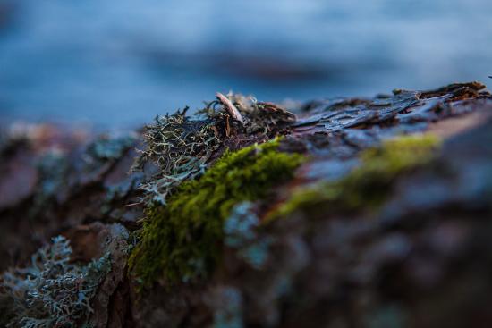 Premium Photographic Print, , large