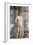 White Frame