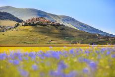 France, Provence-Alpes-Cote D'Azur, Plateau of Valensole, Lavender Field-Andrea Pavan-Photographic Print