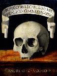 Skull of a Man - Memento Mori-Andrea Previtali-Giclee Print
