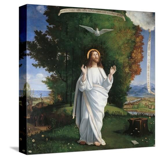 Stretched Canvas Print, , large