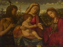 The Virgin and Child with Saints John the Baptist and Catherine, 1504-Andrea Previtali-Giclee Print