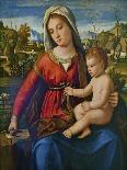 The Virgin and Child with Saints John the Baptist and Catherine, 1504-Andrea Previtali-Giclee Print