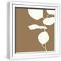 White Frame