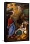 Andrea Sacchi / 'The Birth of Saint John the Baptist', 1639-1645, Italian School, Canvas, 262 cm...-ANDREA SACCHI-Framed Stretched Canvas