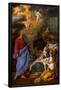 Andrea Sacchi / 'The Birth of Saint John the Baptist', 1639-1645, Italian School, Canvas, 262 cm...-ANDREA SACCHI-Framed Poster