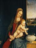 Madonna and Child or Madonna of the Carnations, 1490-1495-Andrea Solario-Framed Giclee Print