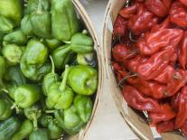 Red and Green Shishito Peppers-Andrea Sperling-Mounted Photographic Print