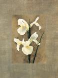 Orchid with Palm II-Andrea Trivelli-Art Print