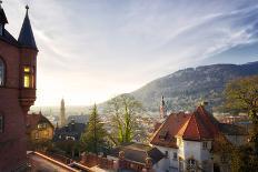 A View over the Misty Old Town of Heidelberg, Baden-Wurttemberg, Germany-Andreas Brandl-Photographic Print