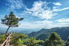 Stone Steps Leading into the Lush Natural Environment with Trees and Blossoms of Tian Mu Shan-Andreas Brandl-Photographic Print