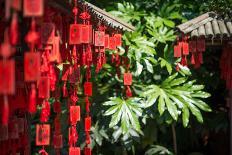 Red Wooden Buddhist Good Luck Charms and Tropical Vegetation, Hangzhou, Zhejiang, China-Andreas Brandl-Photographic Print