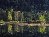 France, Vosges Mountains, Lac Du Lispach in Autumn-Andreas Keil-Photographic Print