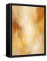 Framed Canvas