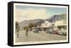 Andreas Road, Palm Springs, California-null-Framed Stretched Canvas