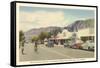 Andreas Road, Palm Springs, California-null-Framed Stretched Canvas