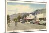 Andreas Road, Palm Springs, California-null-Mounted Art Print