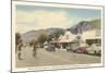 Andreas Road, Palm Springs, California-null-Mounted Art Print