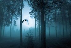 Forest Flight-Andreas Stridsberg-Art Print