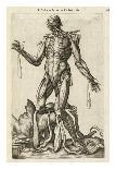 Male figure with muscles and skeleton-Andreas Versalius-Art Print