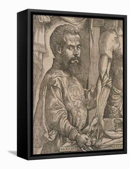 Andreas Vesalius Dissecting the Muscles of the Forearm of a Cadaver, 1543-Steven van Calcar-Framed Stretched Canvas