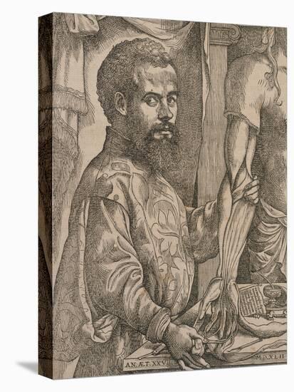 Andreas Vesalius Dissecting the Muscles of the Forearm of a Cadaver, 1543-Steven van Calcar-Stretched Canvas