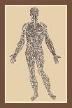 Nervous System-Andreas Vesalius-Art Print