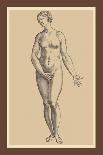 Woman-Andreas Vesalius-Art Print