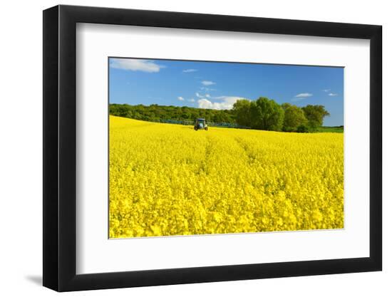 Premium Photographic Print, , large