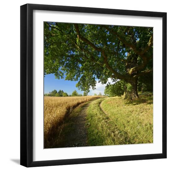 Premium Photographic Print, , large