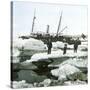 Andree Expedition to the North Pole, Spitsbergen, the "Swenksund"-Leon, Levy et Fils-Stretched Canvas