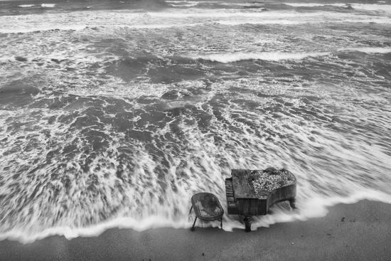 Photographic Print, , large