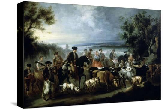 Stretched Canvas Print, , large