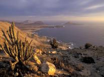 Desert Coast and Pacific Ocean, Atacama Desert, Pan de Azucar National Park,Chile-Andres Morya-Framed Photographic Print