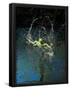 Essential Black