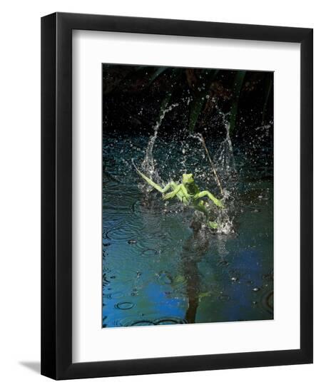 Premium Photographic Print, , large