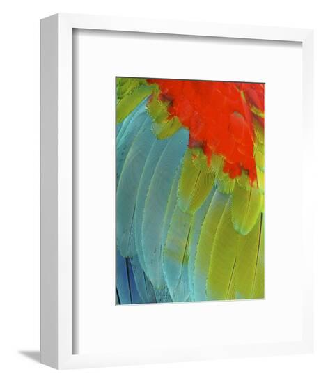 Framed Photographic Print, , large