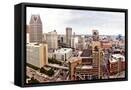 Framed Canvas