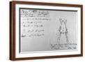 Brown Frame